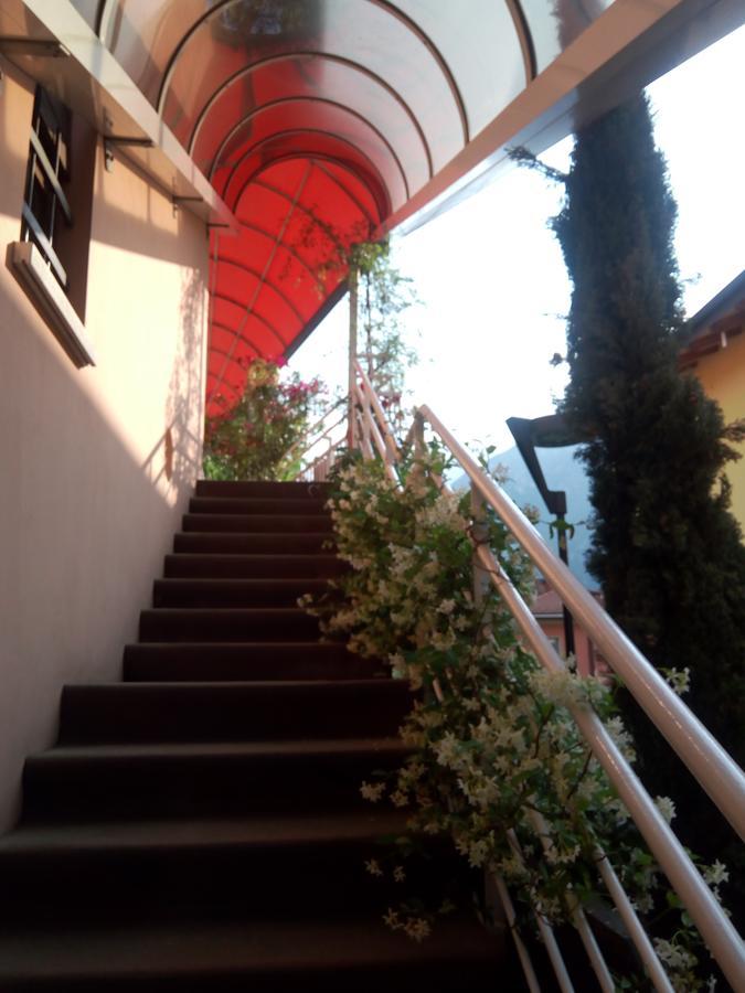 Alloggio Ponte Dei Cavalleggeri Hotel Trydent Zewnętrze zdjęcie